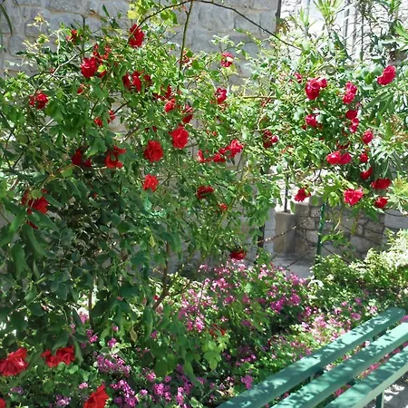 Sea View In Prvic Luka, 46m², Terrace 公寓