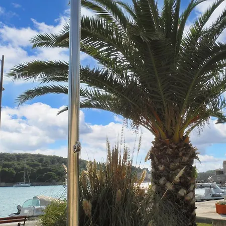 Seaside Terrace Apartment: Beachfront Retreat Prvic Luka