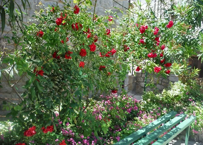 Sea View In Prvic Luka, 46m², Terrace Appartement